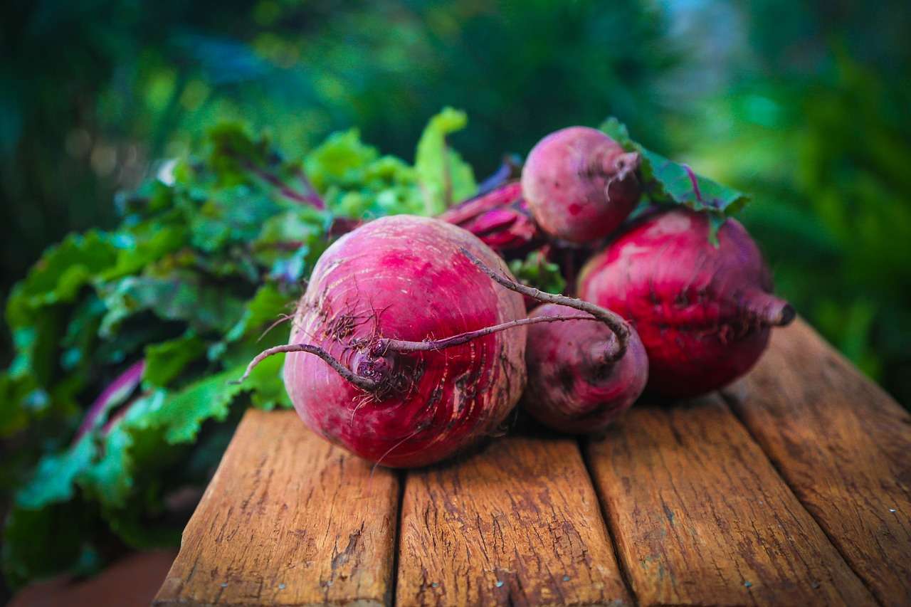 Rote Beete haltbar machen